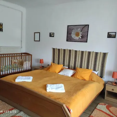 Apartment Szajko Vendeghaz *